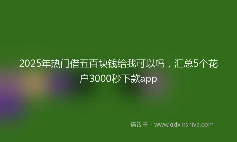 2025年热门借五百块钱给我可以吗，汇总5个花户3000秒下款app