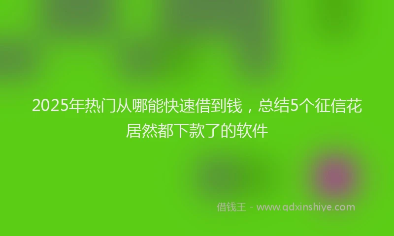 2025年热门从哪能快速借到钱，总结5个征信花居然都下款了的软件