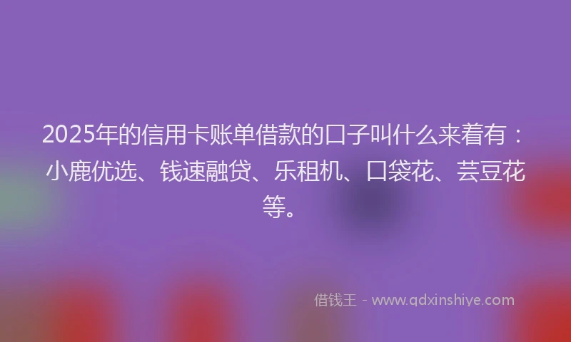 2025年的信用卡账单借款的口子叫什么来着有：小鹿优选、钱速融贷、乐租机、口袋花、芸豆花等。