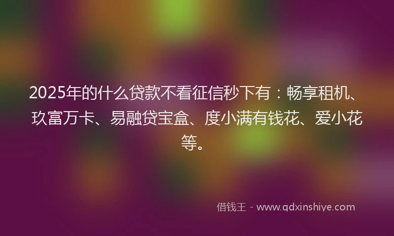 2025年的什么贷款不看征信秒下有：畅享租机、玖富万卡、易融贷宝盒、度小满有钱花、爱小花等。