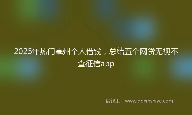 2025年热门亳州个人借钱，总结五个网贷无视不查征信app