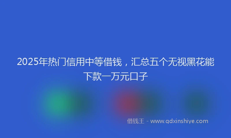 2025年热门信用中等借钱，汇总五个无视黑花能下款一万元口子
