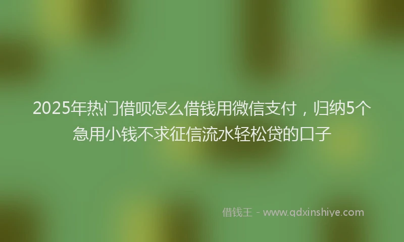 2025年热门借呗怎么借钱用微信支付，归纳5个急用小钱不求征信流水轻松贷的口子