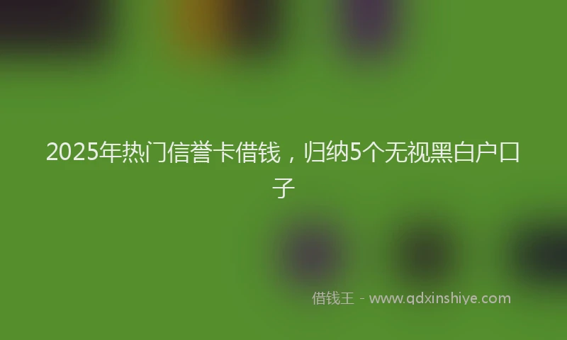 2025年热门信誉卡借钱，归纳5个无视黑白户口子