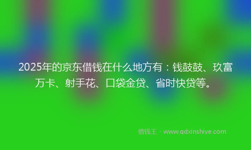 2025年的京东借钱在什么地方有：钱鼓鼓、玖富万卡、射手花、口袋金贷、省时快贷等。