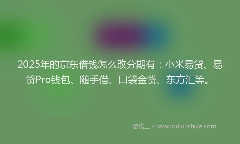 2025年的京东借钱怎么改分期有：小米易贷、易贷Pro钱包、随手借、口袋金贷、东方汇等。