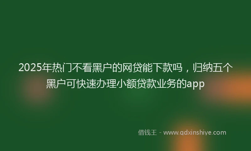 2025年热门不看黑户的网贷能下款吗，归纳五个黑户可快速办理小额贷款业务的app