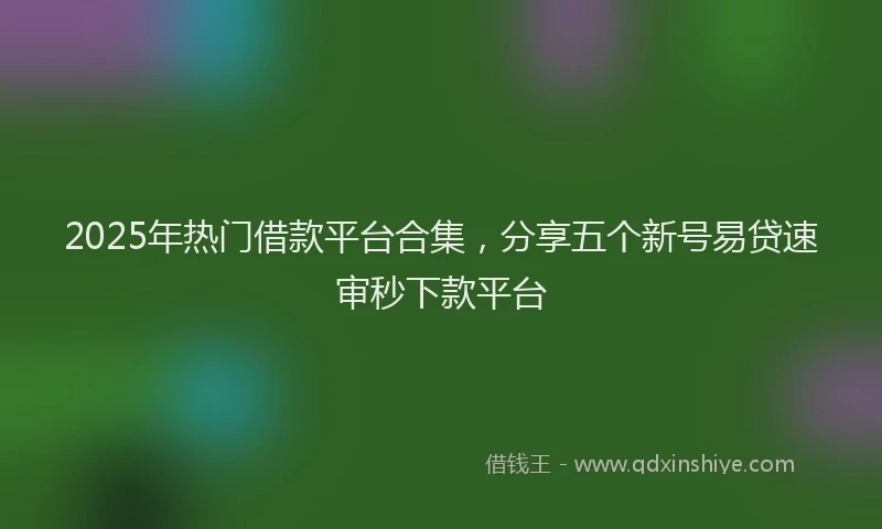 2025年热门借款平台合集，分享五个新号易贷速审秒下款平台