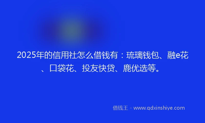 2025年的信用社怎么借钱有：琉璃钱包、融e花、口袋花、投友快贷、鹿优选等。