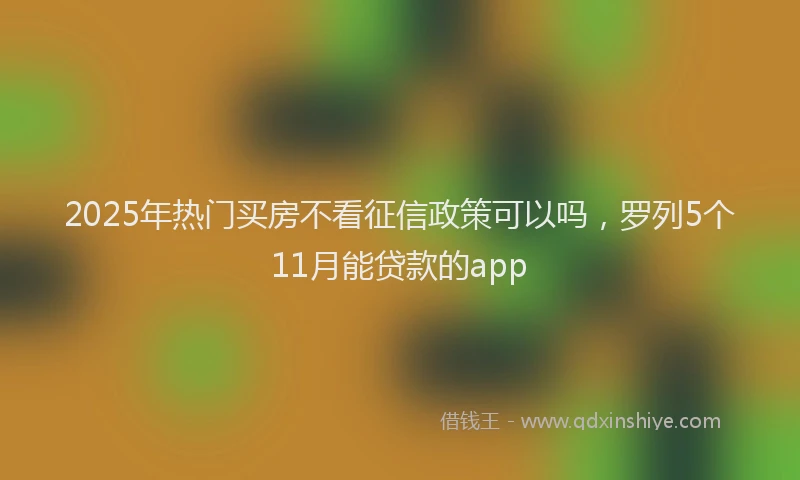 2025年热门买房不看征信政策可以吗，罗列5个11月能贷款的app