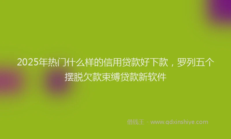 2025年热门什么样的信用贷款好下款，罗列五个摆脱欠款束缚贷款新软件