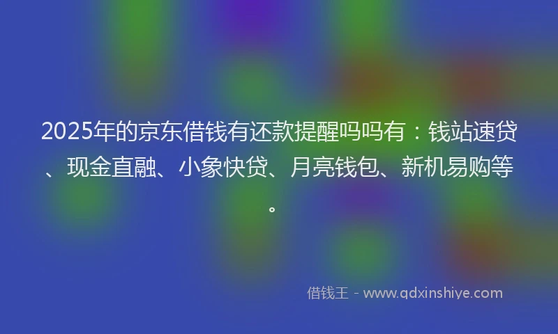 2025年的京东借钱有还款提醒吗吗有：钱站速贷、现金直融、小象快贷、月亮钱包、新机易购等。