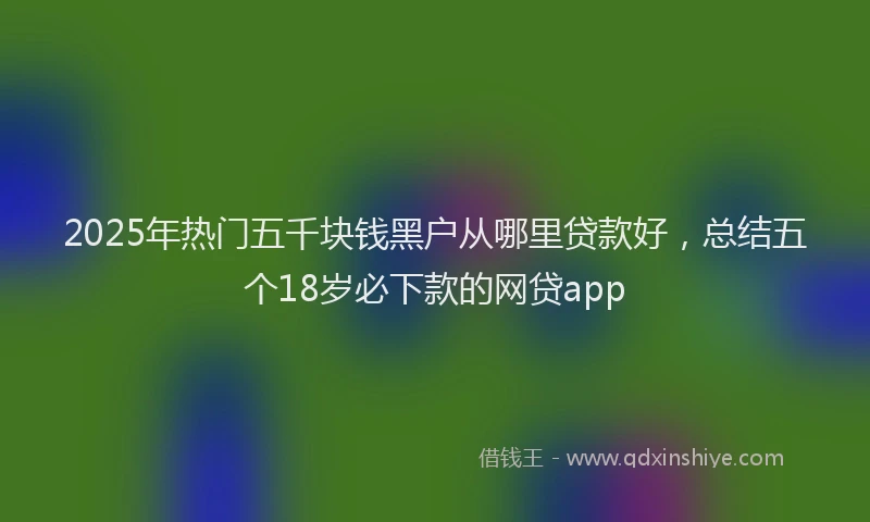 2025年热门五千块钱黑户从哪里贷款好，总结五个18岁必下款的网贷app