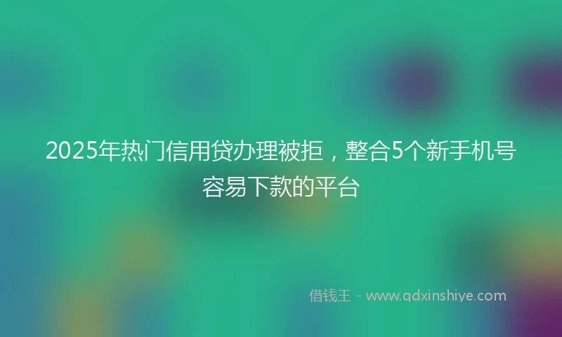 2025年热门信用贷办理被拒，整合5个新手机号容易下款的平台