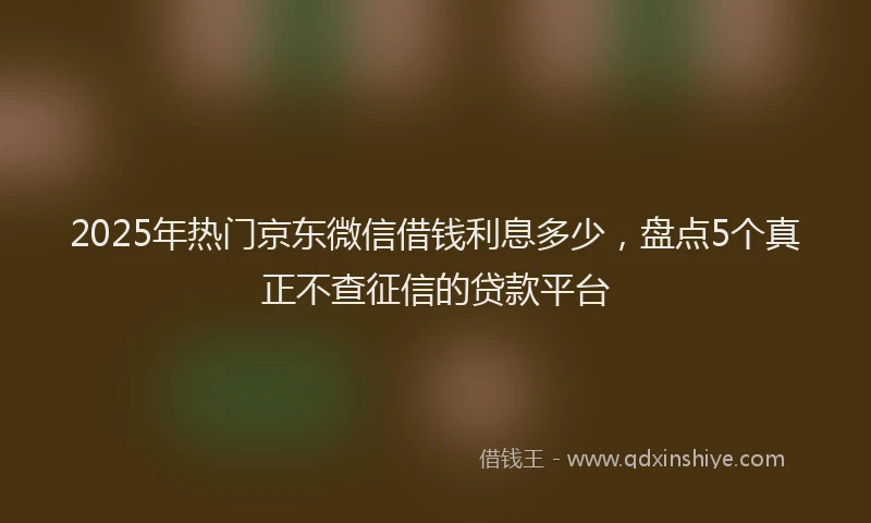 2025年热门京东微信借钱利息多少，盘点5个真正不查征信的贷款平台