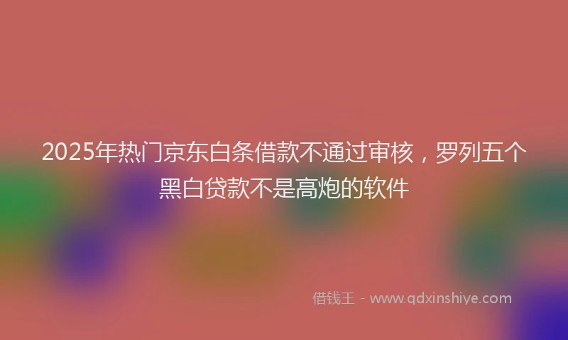 2025年热门京东白条借款不通过审核，罗列五个黑白贷款不是高炮的软件