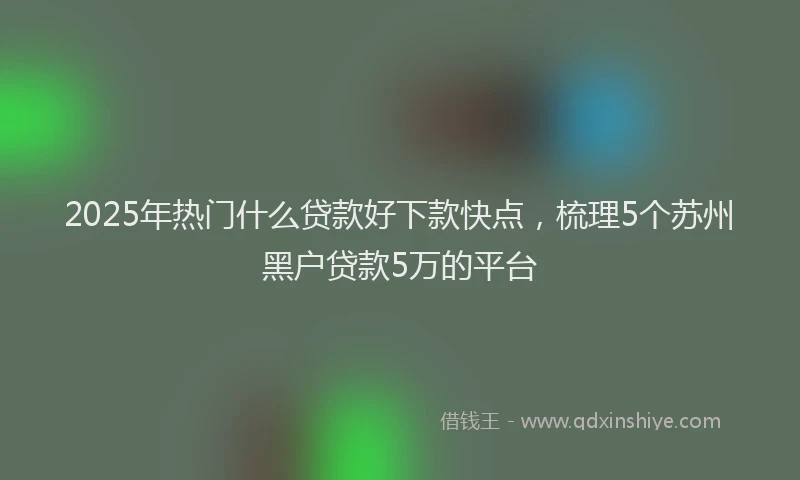 2025年热门什么贷款好下款快点，梳理5个苏州黑户贷款5万的平台