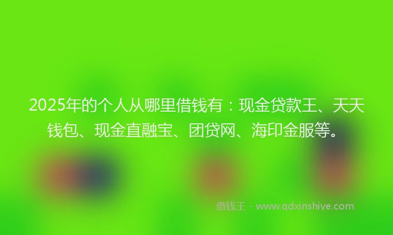 2025年的个人从哪里借钱有：现金贷款王、天天钱包、现金直融宝、团贷网、海印金服等。