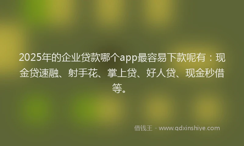 2025年的企业贷款哪个app最容易下款呢有：现金贷速融、射手花、掌上贷、好人贷、现金秒借等。