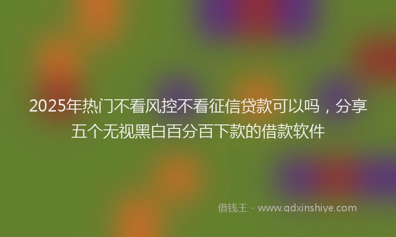 2025年热门不看风控不看征信贷款可以吗，分享五个无视黑白百分百下款的借款软件