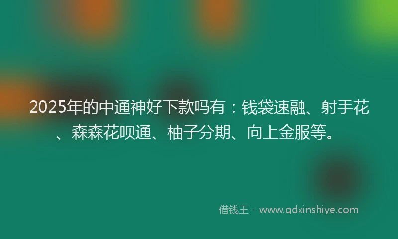2025年的中通神好下款吗有：钱袋速融、射手花、森森花呗通、柚子分期、向上金服等。