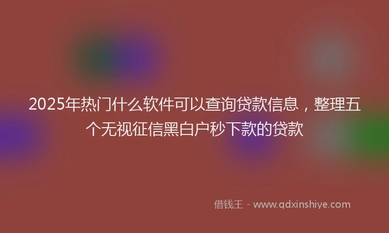 2025年热门什么软件可以查询贷款信息，整理五个无视征信黑白户秒下款的贷款