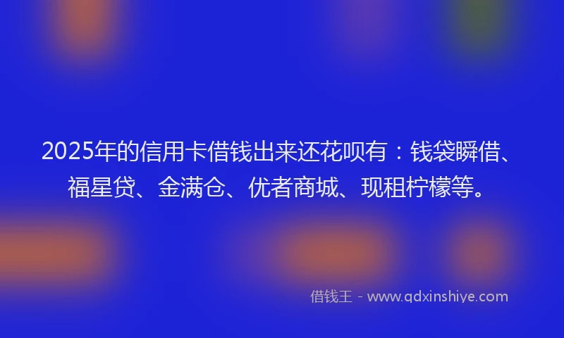 2025年的信用卡借钱出来还花呗有：钱袋瞬借、福星贷、金满仓、优者商城、现租柠檬等。
