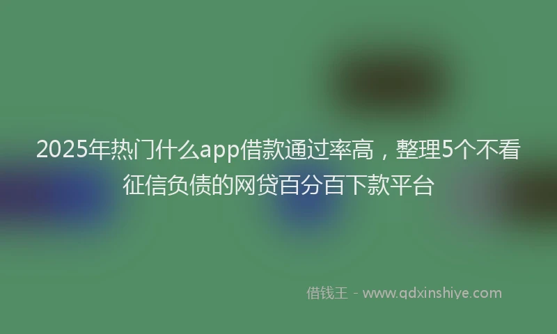 2025年热门什么app借款通过率高，整理5个不看征信负债的网贷百分百下款平台