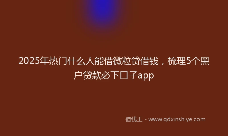 2025年热门什么人能借微粒贷借钱，梳理5个黑户贷款必下口子app