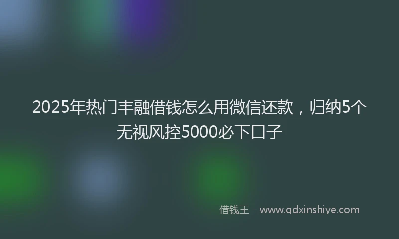 2025年热门丰融借钱怎么用微信还款，归纳5个无视风控5000必下口子