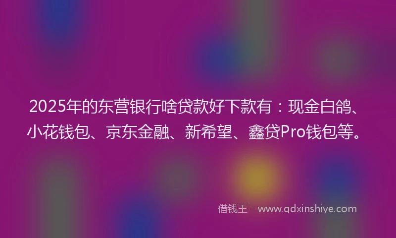 2025年的东营银行啥贷款好下款有：现金白鸽、小花钱包、京东金融、新希望、鑫贷Pro钱包等。