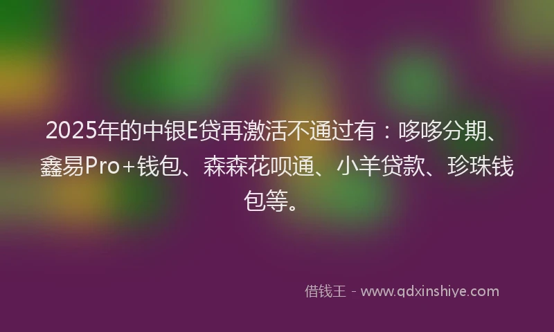 2025年的中银E贷再激活不通过有：哆哆分期、鑫易Pro+钱包、森森花呗通、小羊贷款、珍珠钱包等。