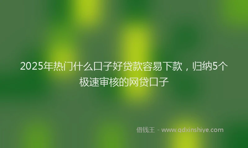 2025年热门什么口子好贷款容易下款,归纳5个极速审核的网贷口子