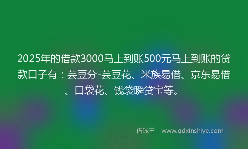 2025年的借款3000马上到账500元马上到账的贷款口子有：芸豆分-芸豆花、米族易借、京东易借、口袋花、钱袋瞬贷宝等。