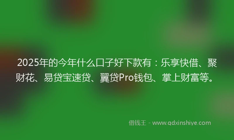 2025年的今年什么口子好下款有：乐享快借、聚财花、易贷宝速贷、翼贷Pro钱包、掌上财富等。