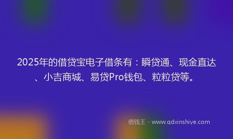 2025年的借贷宝电子借条有：瞬贷通、现金直达、小吉商城、易贷Pro钱包、粒粒贷等。