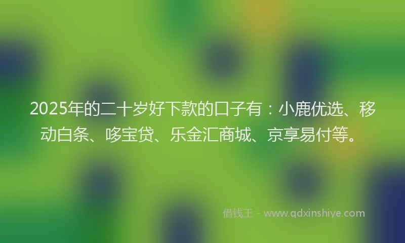 2025年的二十岁好下款的口子有：小鹿优选、移动白条、哆宝贷、乐金汇商城、京享易付等。
