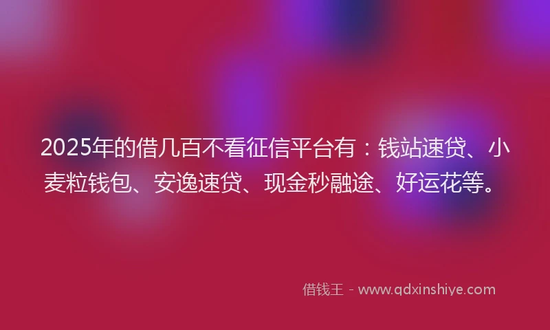 2025年的借几百不看征信平台有：钱站速贷、小麦粒钱包、安逸速贷、现金秒融途、好运花等。