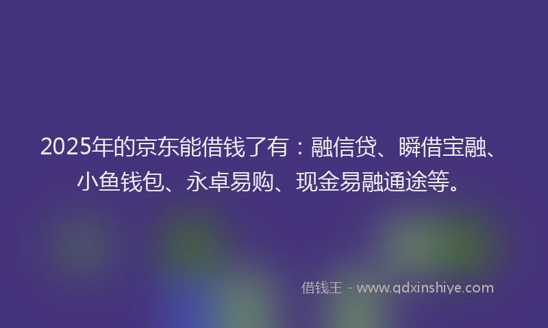 2025年的京东能借钱了有:融信贷、瞬借宝融、小鱼钱包、永卓易购、现金易融通途等。