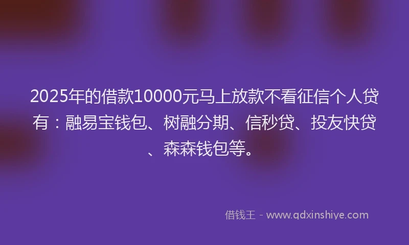 2025年的借款10000元马上放款不看征信个人贷有：融易宝钱包、树融分期、信秒贷、投友快贷、森森钱包等。