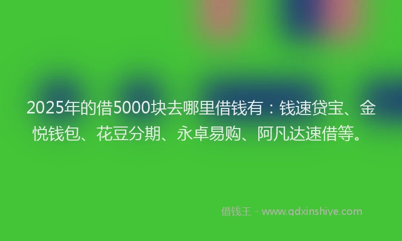 2025年的借5000块去哪里借钱有：钱速贷宝、金悦钱包、花豆分期、永卓易购、阿凡达速借等。