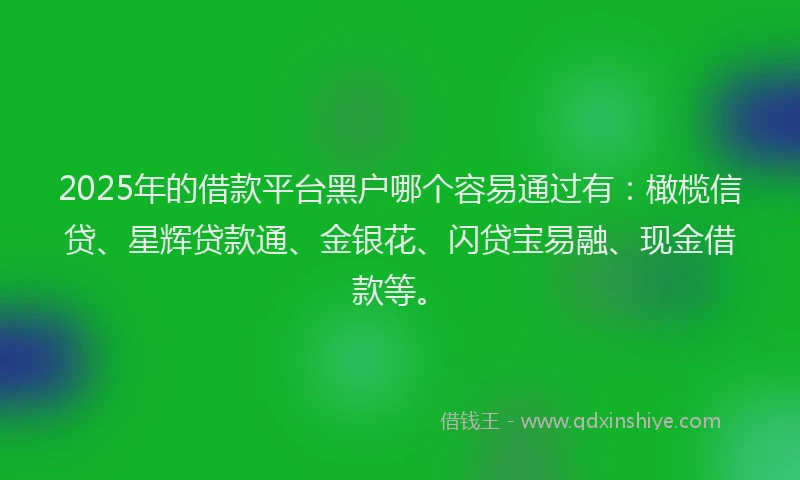 2025年的借款平台黑户哪个容易通过有：橄榄信贷、星辉贷款通、金银花、闪贷宝易融、现金借款等。