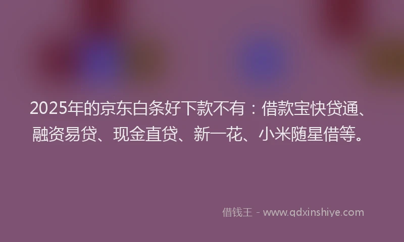 2025年的京东白条好下款不有：借款宝快贷通、融资易贷、现金直贷、新一花、小米随星借等。