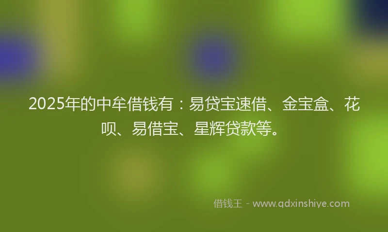 2025年的中牟借钱有：易贷宝速借、金宝盒、花呗、易借宝、星辉贷款等。