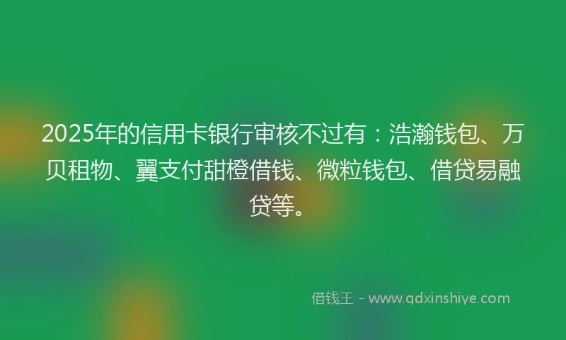 2025年的信用卡银行审核不过有：浩瀚钱包、万贝租物、翼支付甜橙借钱、微粒钱包、借贷易融贷等。
