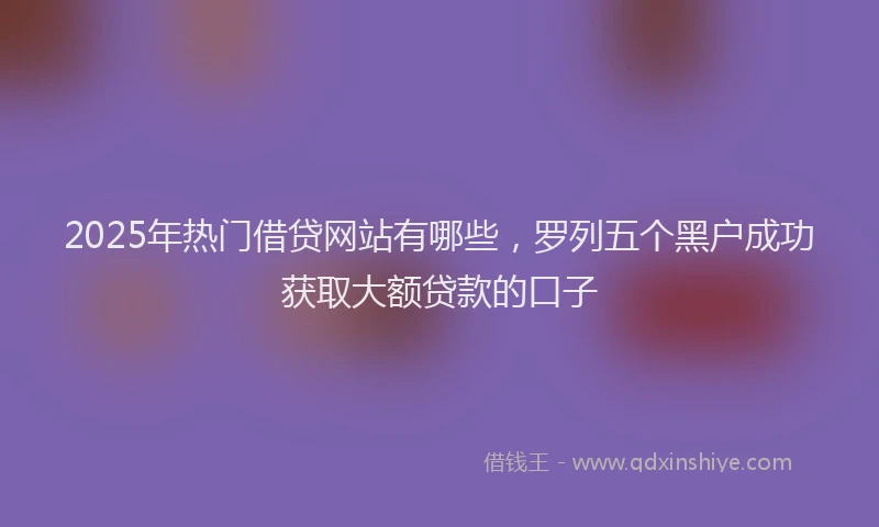 2025年热门借贷网站有哪些，罗列五个黑户成功获取大额贷款的口子