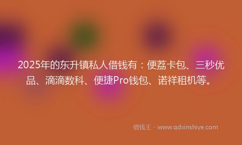 2025年的东升镇私人借钱有：便荔卡包、三秒优品、滴滴数科、便捷Pro钱包、诺祥租机等。