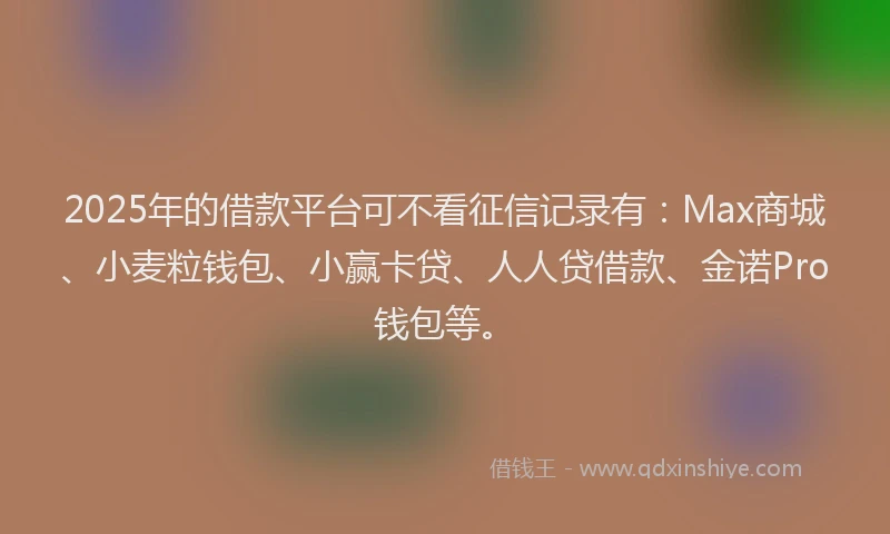 2025年的借款平台可不看征信记录有：Max商城、小麦粒钱包、小赢卡贷、人人贷借款、金诺Pro钱包等。
