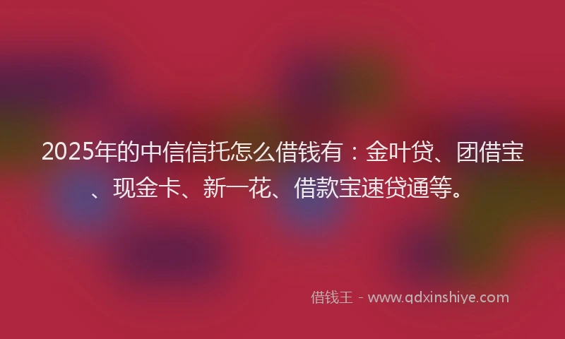 2025年的中信信托怎么借钱有：金叶贷、团借宝、现金卡、新一花、借款宝速贷通等。
