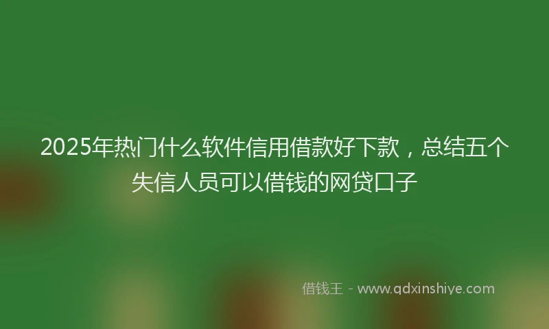 2025年热门什么软件信用借款好下款，总结五个失信人员可以借钱的网贷口子
